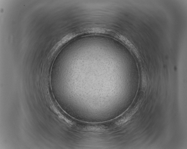 X0000085040625200703121434