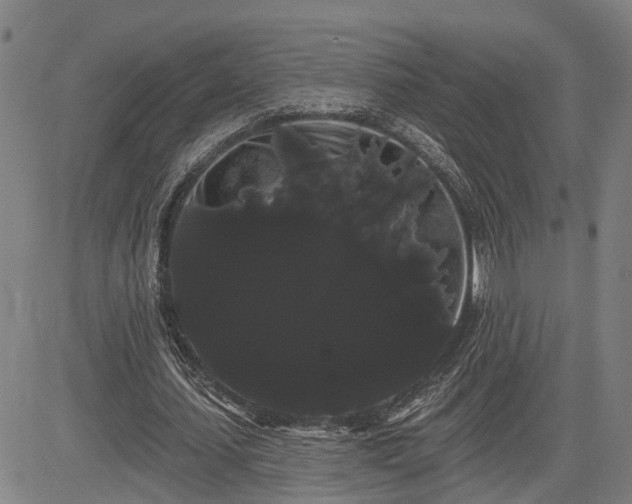 X0000085040627200703121434