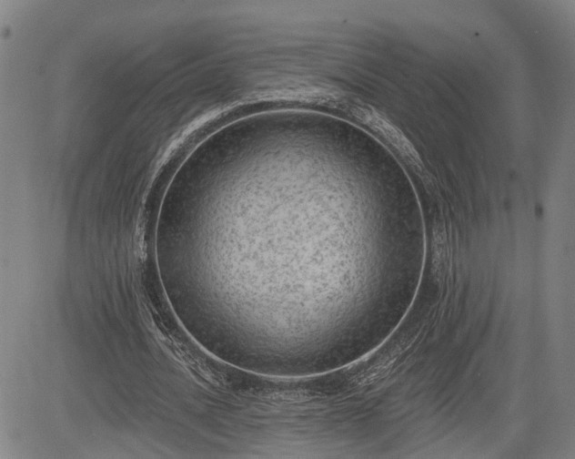 X0000085040628200703121434