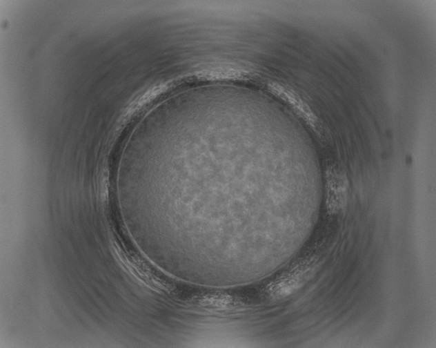 X0000085040631200703121434