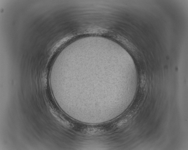 X0000085040632200703121434