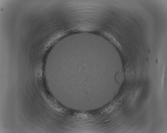 X0000085040635200703121434