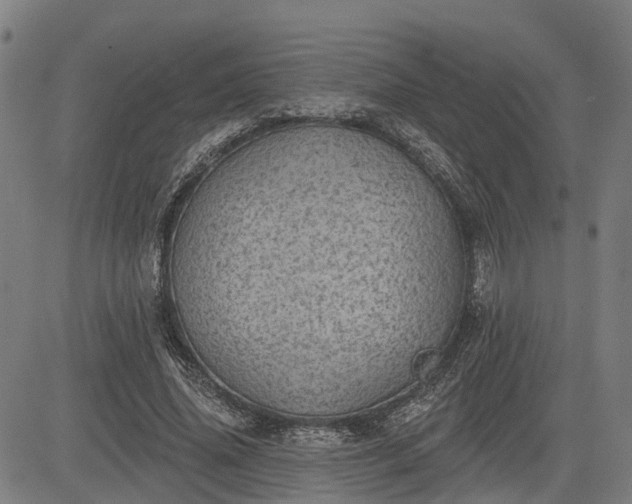 X0000085040636200703121434