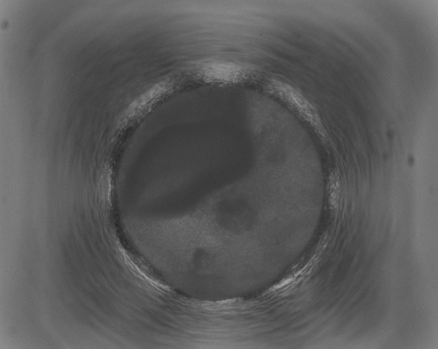 X0000085040637200703121434