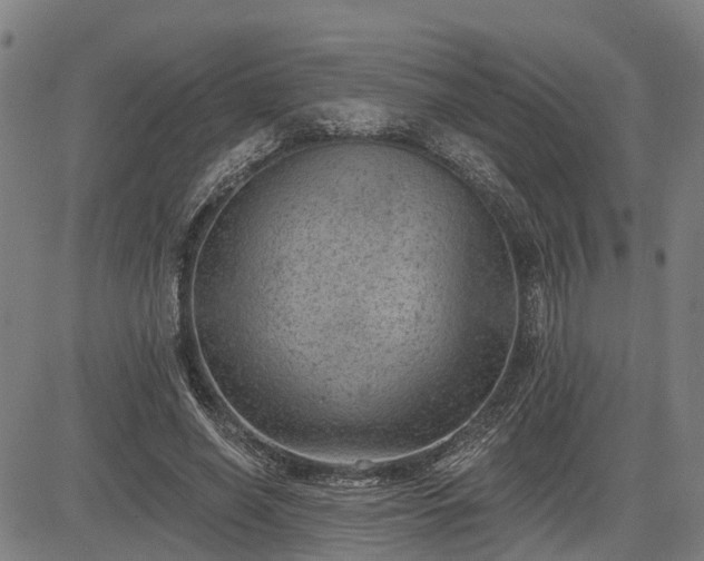 X0000085040638200703121434