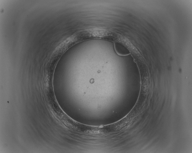 X0000085040639200703121434