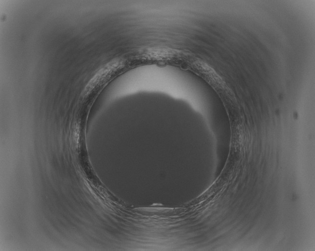 X0000085040640200703121434