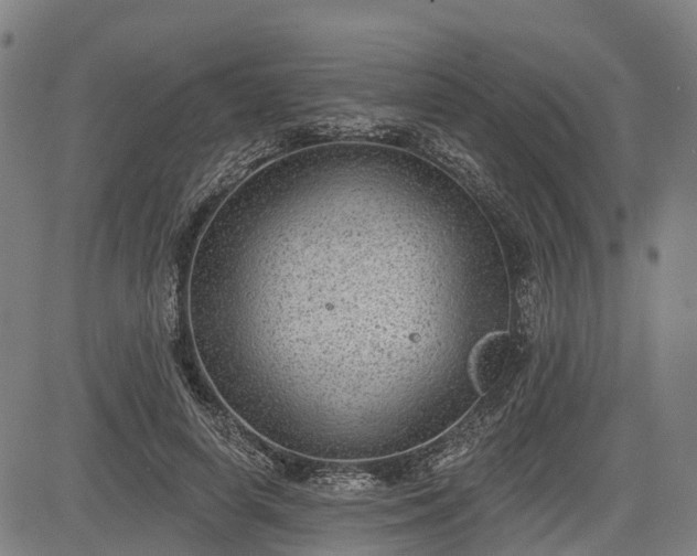 X0000085040642200703121434