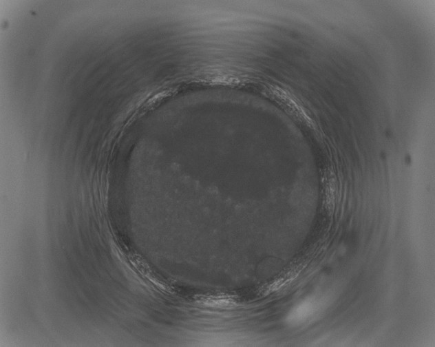 X0000085040643200703121434