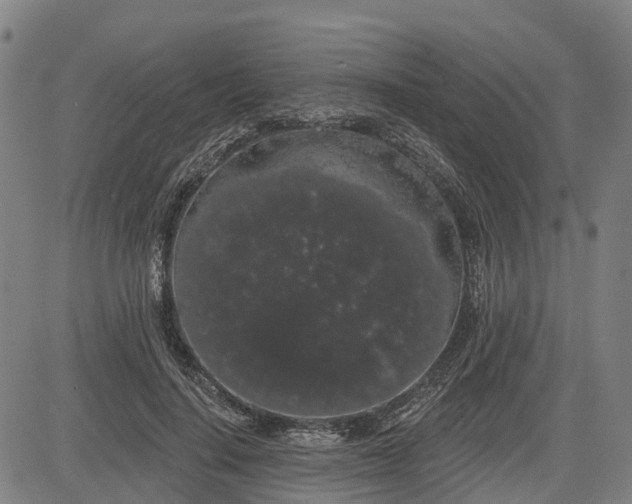 X0000085040644200703121434