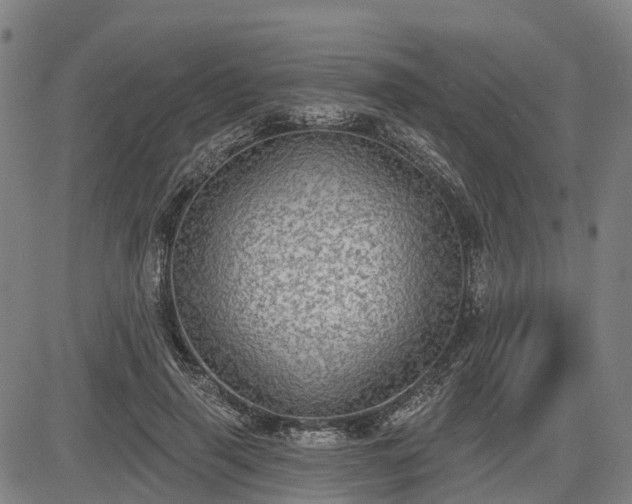 X0000085040645200703121434