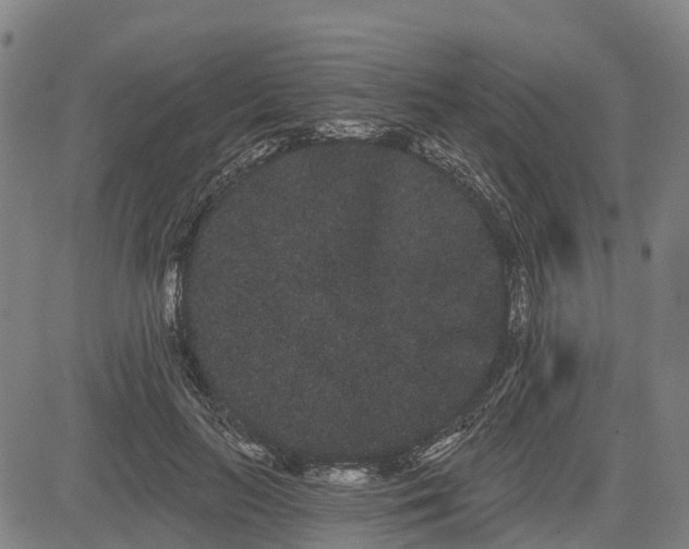 X0000085040647200703121434