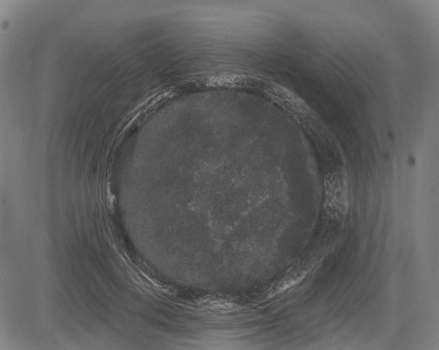 X0000085040648200703121434