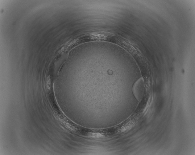 X0000085040649200703121434