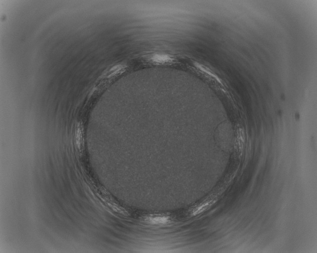 X0000085040651200703121435