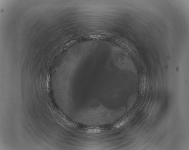 X0000085040653200703121435