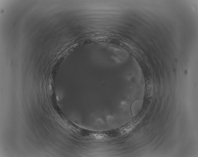 X0000085040654200703121435