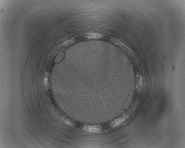 X0000085040655200703121435