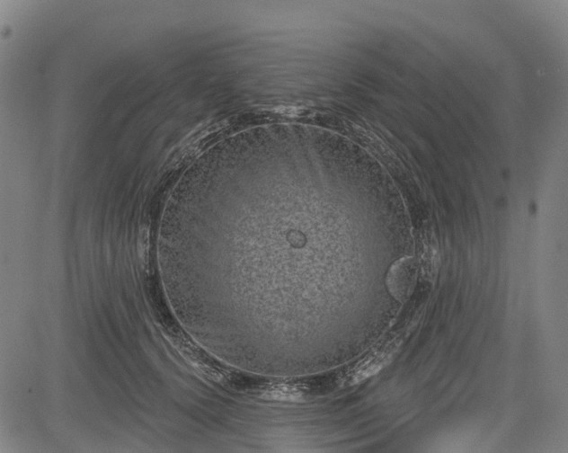 X0000085040656200703121435