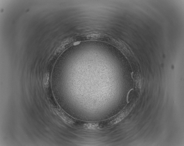 X0000085040660200703121435