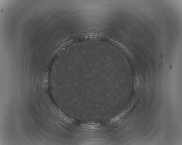 X0000085040661200703121435