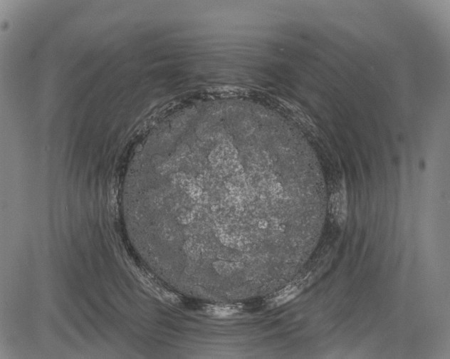 X0000085040662200703121435