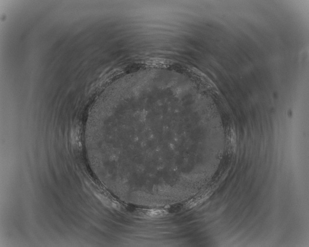 X0000085040663200703121435