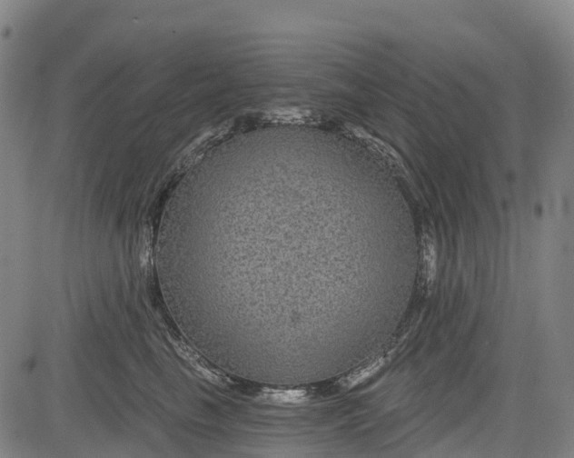 X0000085040665200703121435