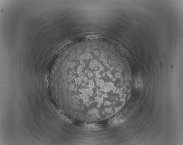 X0000085040666200703121435