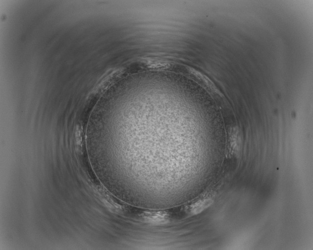 X0000085040667200703121435