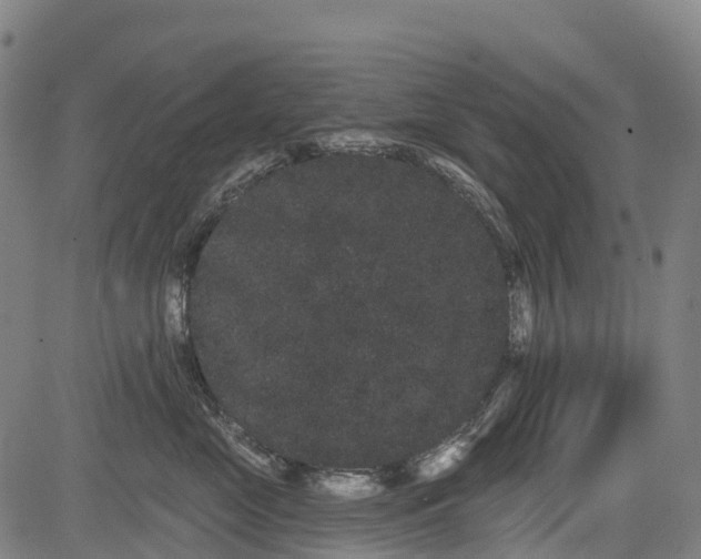 X0000085040669200703121435