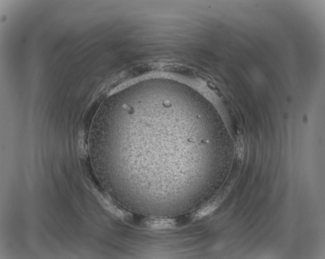 X0000085040670200703121435