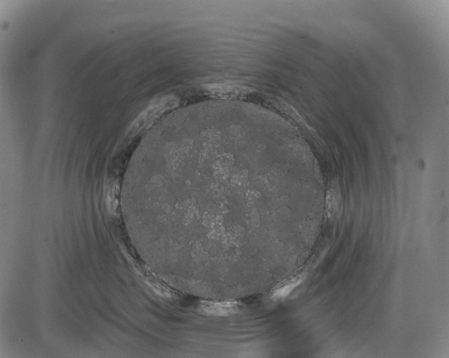 X0000085040671200703121435