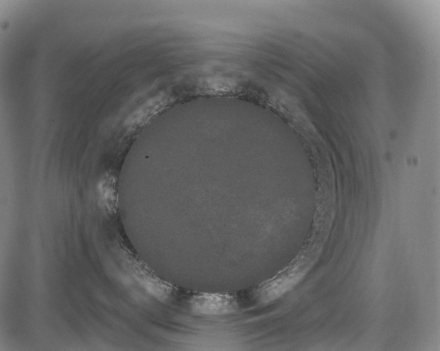 X0000085040672200703121435