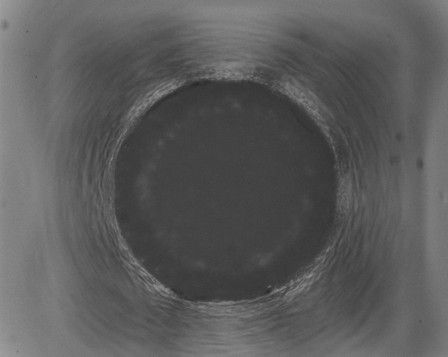 X0000085040673200703121434