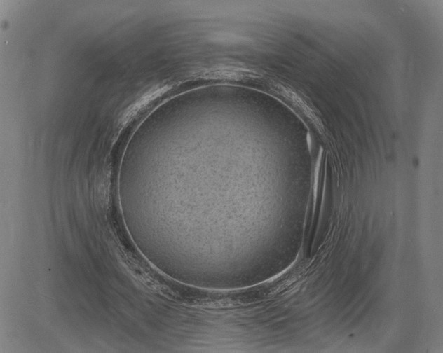 X0000085040675200703121434