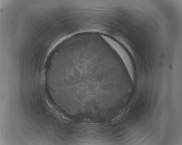 X0000085040676200703121434