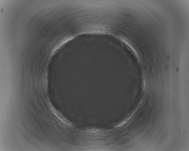 X0000085040677200703121434