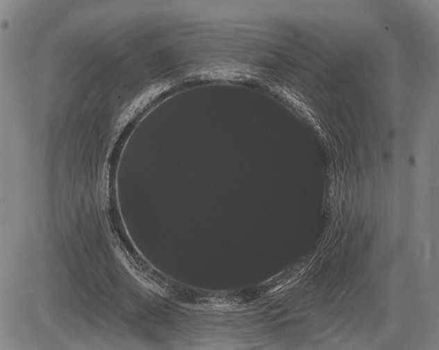 X0000085040678200703121434