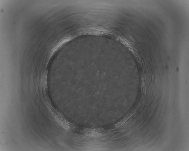 X0000085040679200703121434