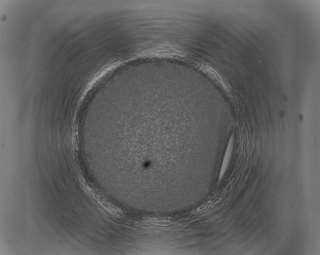 X0000085040680200703121434