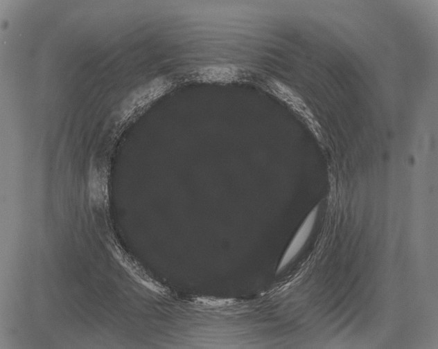 X0000085040681200703121434