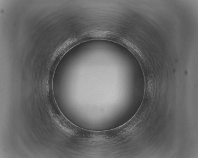 X0000085040682200703121434