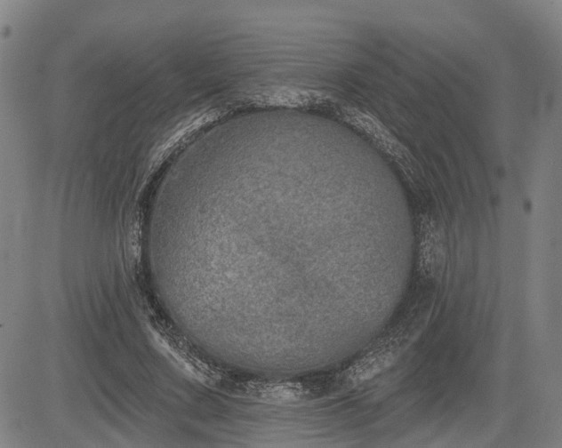 X0000085040683200703121434