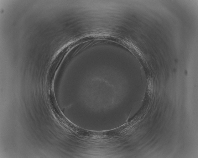 X0000085040684200703121434