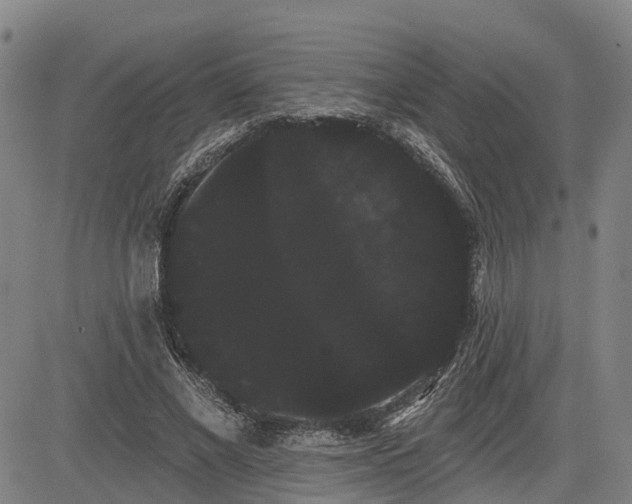 X0000085040685200703121434