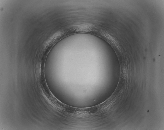 X0000085040686200703121434