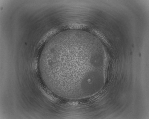 X0000085040687200703121434