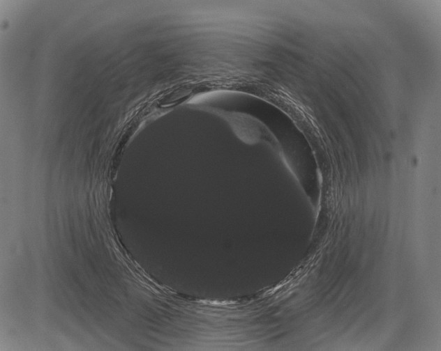 X0000085040689200703121434