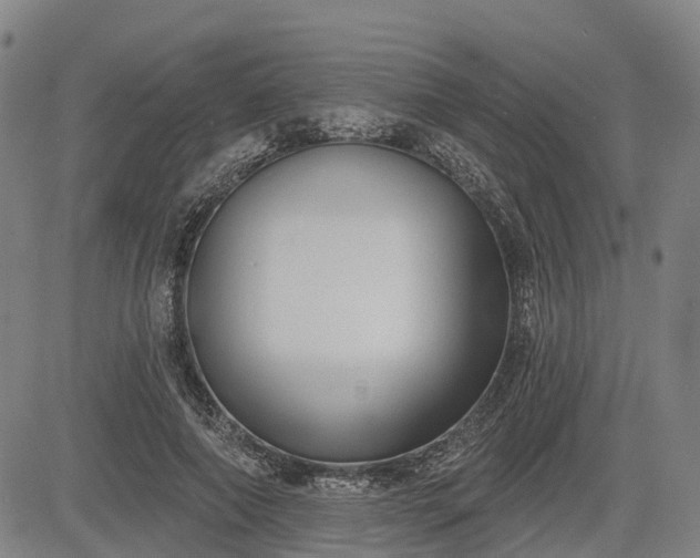 X0000085040690200703121434